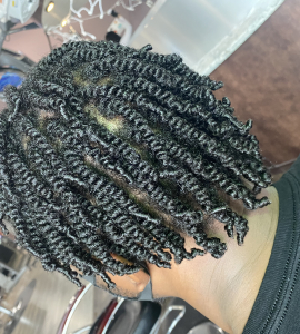 Two Strand Twist for EnaziStyles