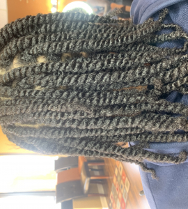 Two Strand Twist for The_Adelleaffect