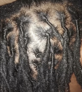 Loc Retwist for The_Palash