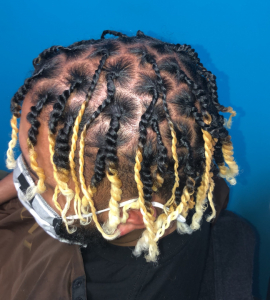 Two Strand Twist for DGURLSTYLEZZ