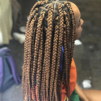 Large Box Braids for HairbyPrin