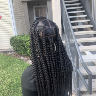 Knotless Braids for Tressa_Transforms