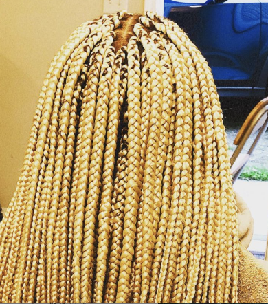 Large Box Braids for Nanaimo_Braids