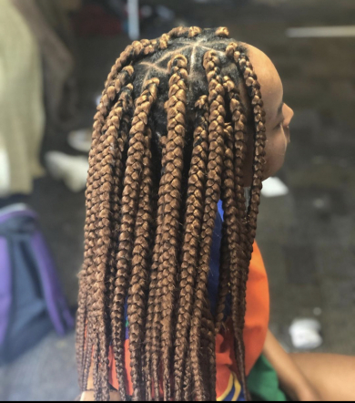 Large Box Braids for HairbyPrin