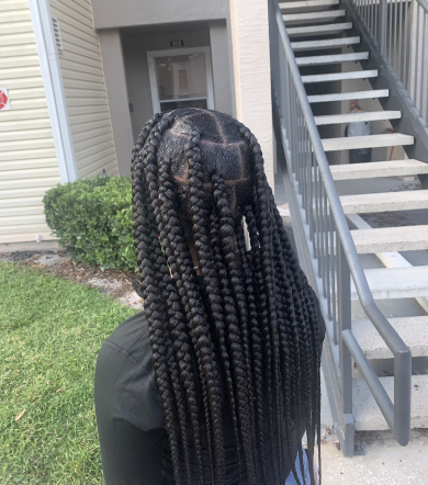 Knotless Braids for Tressa_Transforms