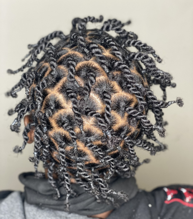 Two Strand Twist for Exquisite_Rootz