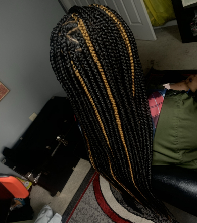 Large Box Braids for Hair_by_Jadax