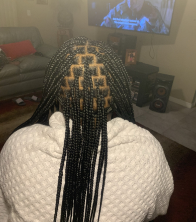 Knotless Braids for Tressa_Transforms