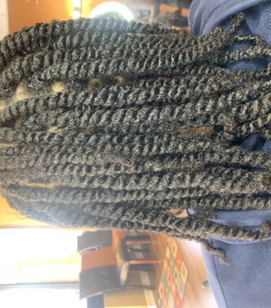 Two Strand Twist for The_Adelleaffect