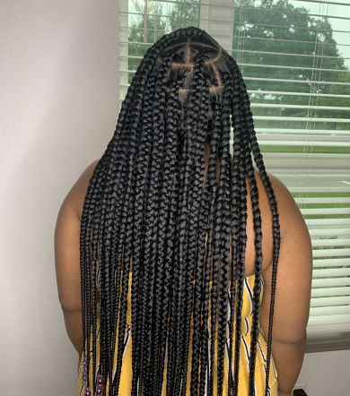 Knotless Braids for Tressa_Transforms