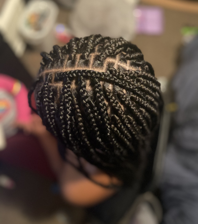 Small Box Braids for AriDidIt