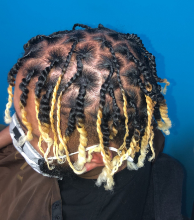 Two Strand Twist for DGURLSTYLEZZ