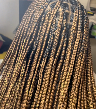 Knotless Braids for Hair_by_Cvie